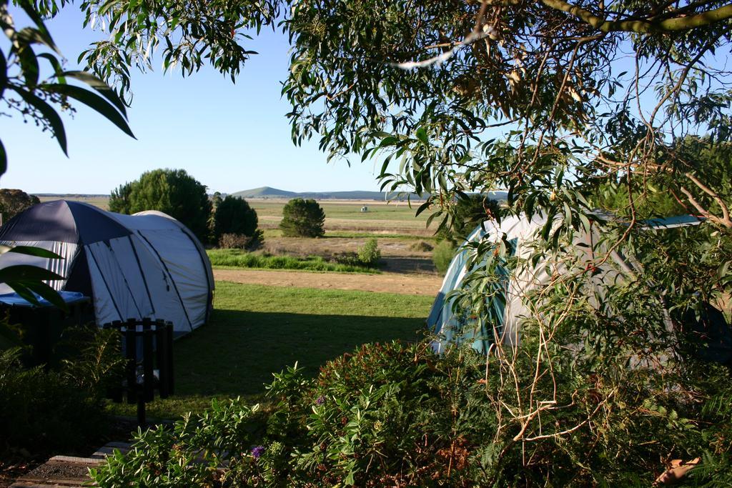 Millicent Hillview Caravan Park Kültér fotó