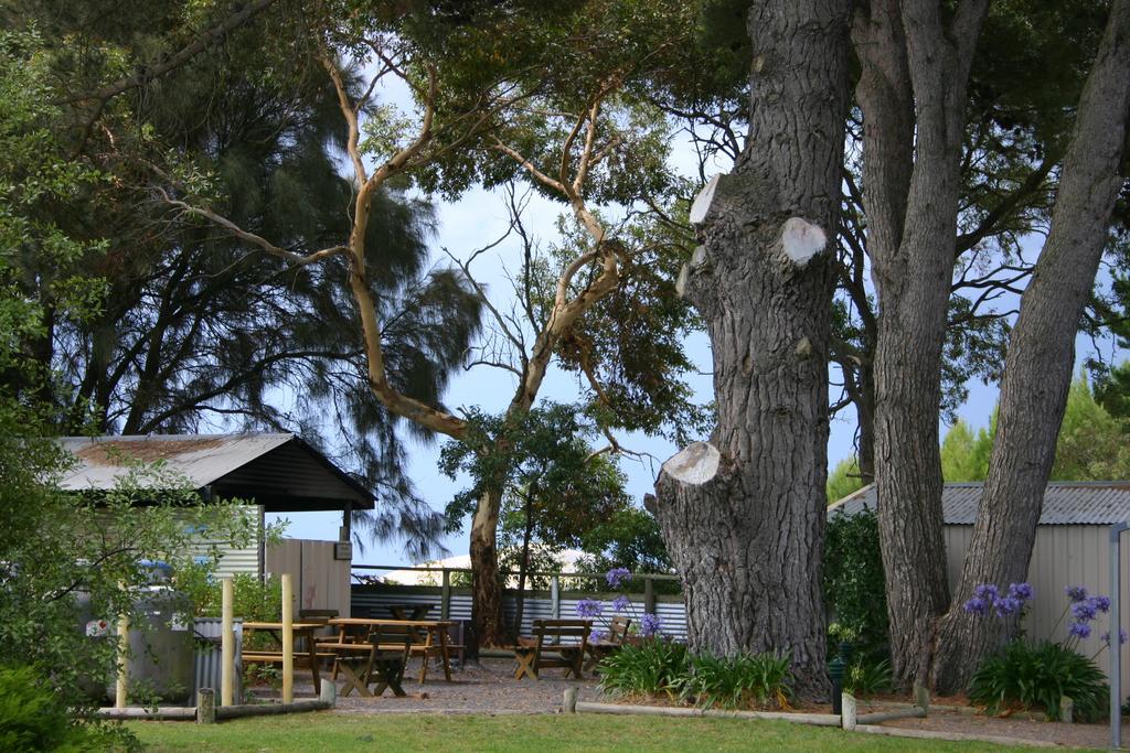 Millicent Hillview Caravan Park Kültér fotó