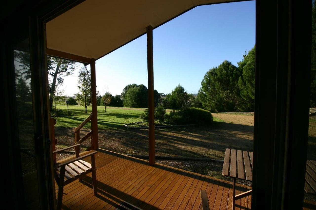 Millicent Hillview Caravan Park Kültér fotó